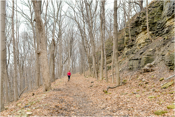 Bruce Trail through Hamilton's Escarpment