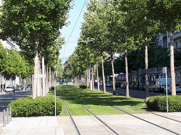 Park-like LRT lines in central Grenoble
