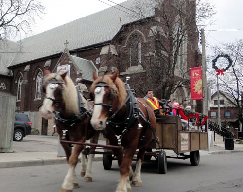 The past two Saturdays, a horse-drawn carriage has taken people-watchers up and down the street