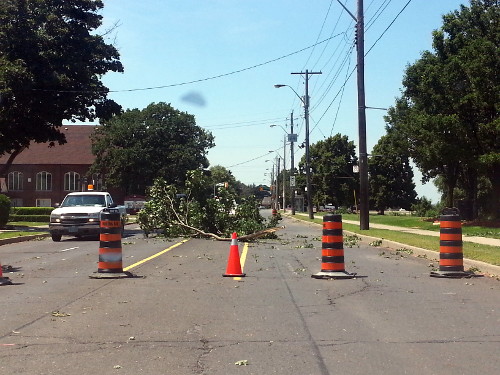 Tree down on Concession after summer 2013 storm (RTH file photo)
