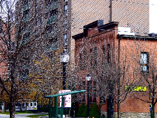 Asian café through trees