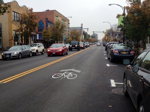 Bike sharrows on Elmwood Avenue, Buffalo