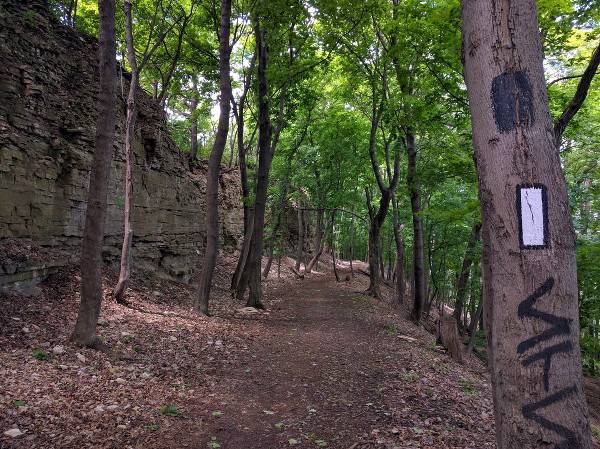 Bruce Trail between Claremont Access and Beckett Drive