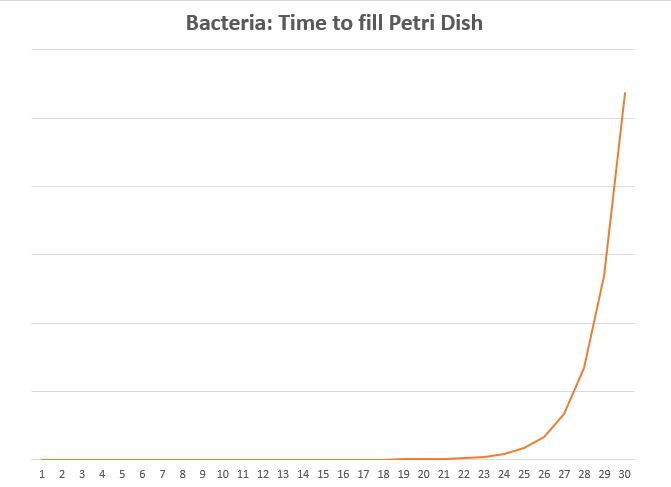 Exponential growth of bacteria in a petri dish