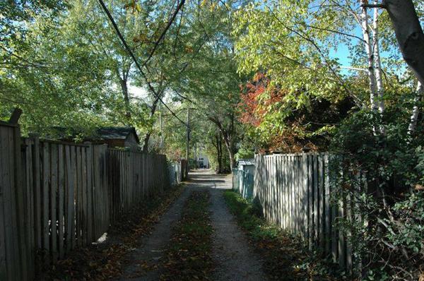 Typical green leafy laneway in Hamilton