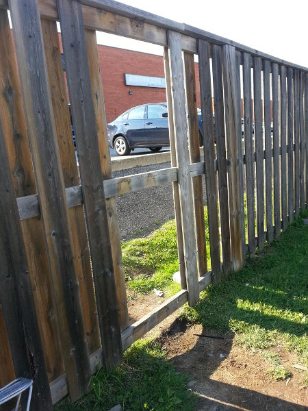 Fence-spanning desire path at East 22nd and MacLennan