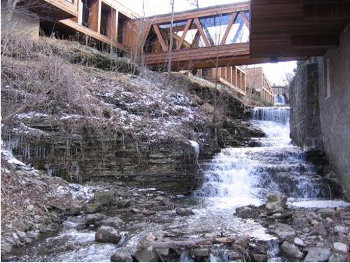 Figure 5. Eramosa exposed in the bed of Ancaster Creek: the Eramosa escarpment produces the small waterfall seen just upstream of the Old Mill Restaurant.