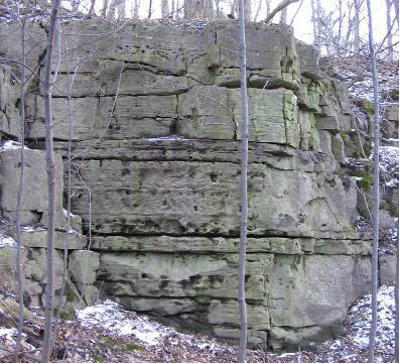 Figure 3. Eramosa in an Ancaster quarry, just N of Ontario St.: the green hue is due to mould on the rock.