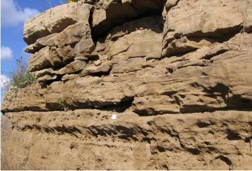 Figure 4. Eramosa outcrop on the Linc near James St Exit. White scale is 8cm long.