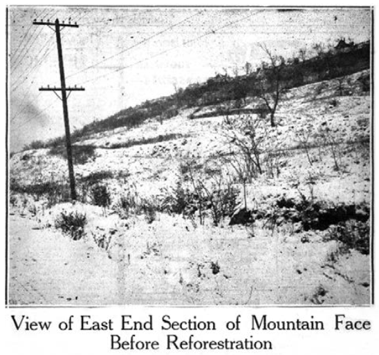 Hamilton escarpment before reforestation (Image Credit: Hamilton Public Library)