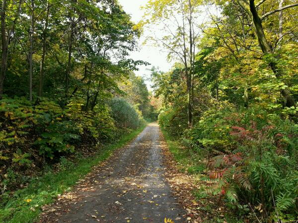 Escarpment Rail Trail, where Bratina wants LRT to run (RTH file photo)