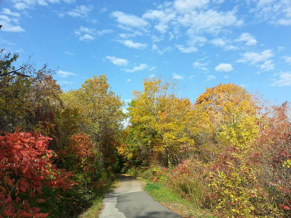 Escarpment Trail