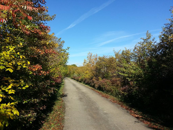 Escarpment Trail