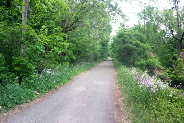 Escarpment Trail