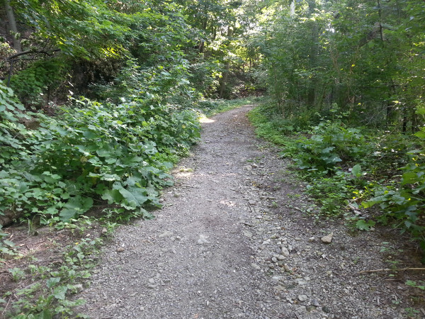 Trail switches to loose gravel and sand