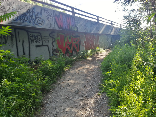 Trail meets the Claremont Access
