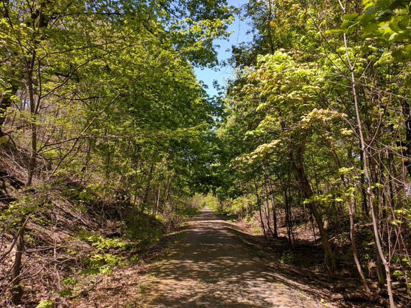 The Escarpment Trail wakes up