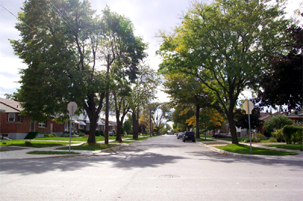 East 43rd Street in
Hamilton. A suburb built on a grid of streets, circa 1950s.