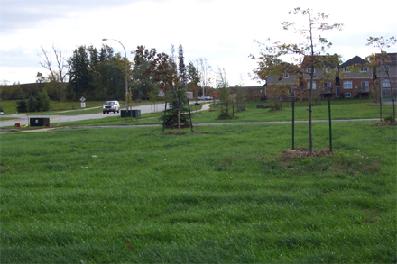 Open space in The
Meadowlands of Ancaster, a modern Hamilton suburb. Automobile use is necessary
due to the vast low density, and inefficient use of the land. Cheap land and
cheap oil have created such sprawl.