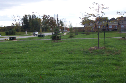 Open space in The
Meadowlands of Ancaster, a modern Hamilton suburb. Automobile use is necessary
due to the vast low density, and inefficient use of the land. Cheap land and
cheap oil have created such sprawl.