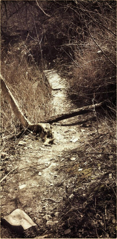 Niagara Escarpment