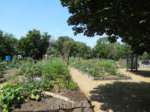 Hill Street Community Garden (RTH file photo)