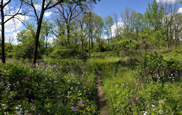 Iroquoia Heights Side Trail, Ancaster