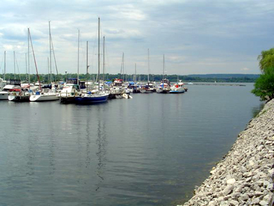 The Marina