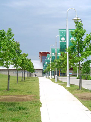 Marine Discovery Centre