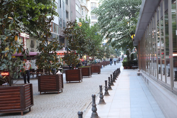 Large tree and flower planters to frame the sidewalk (Image Credit: aRbANEu)