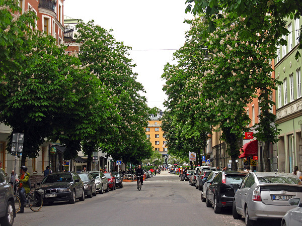 Stockholm (Image Credit: Walking Stockholm)
