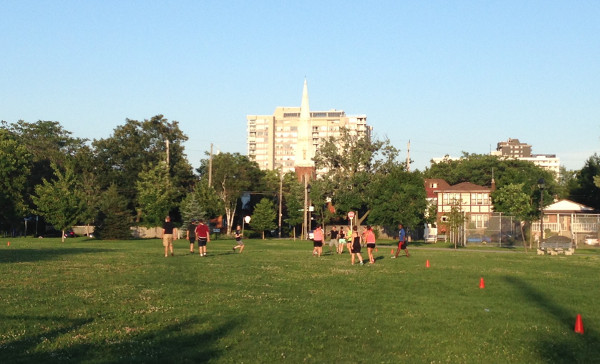 Playing on the grass