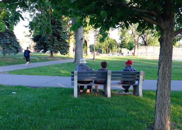 Enjoying a rest on the bench