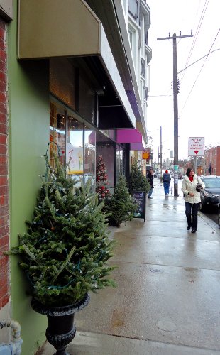 Christmas trees line the sidewalks
