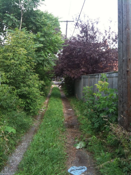 Last block between Catherine and Walnut. Alley is unpaved and overgrown.