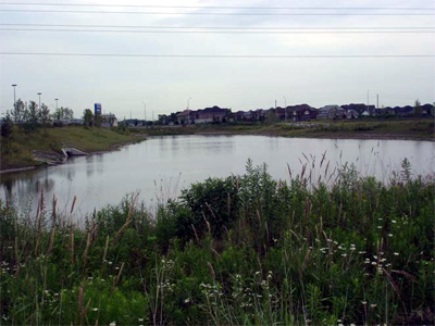 Wetlands at Appleby Ln. and Hwy. 5: an ideal spot for canoeing families