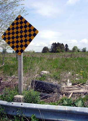 Yellow and black diamond - Warning: foot-high weeds and mushy stuff ahead