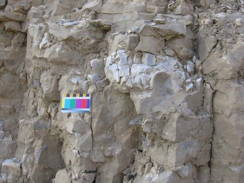 Figure 1. Chert nodules (light grey) in the Ancaster Chert Beds, Sydenham Street, Dundas.