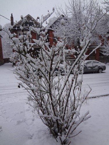 Today's heavy packing snow can be dangerous to shovel