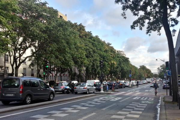 Curb-protected two-way transit lane with cycling