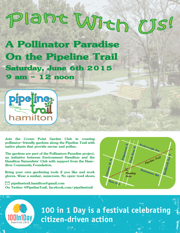Poster: Pollinator Paradise on the Pipeline Trail (Image Credit: Crown Point Community)