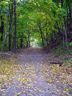 Rail Trail in downtown Hamilton