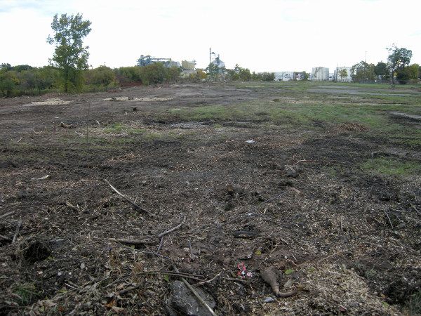 Looking north from Ferrie between Wellington and Victoria. This acreage has been idle and fenced for at least twenty five years.