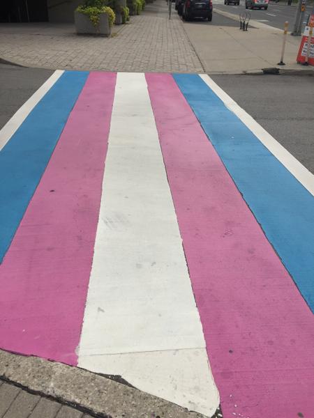 Trans crosswalk on Summer's Lane not skidded (Image Credit: Vilma Rossi)