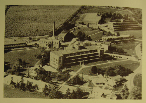 Hamilton Mountain San. From left to right the terraced buildings are the Wilcox (Hutton and Souter, 1938); the Southam, (Witton,1928); and the Evel (Hutton and Souter, 1932). (Source: Archives of Hamilton Health Sciences and the Faculty of Health Sciences, McMaster University)