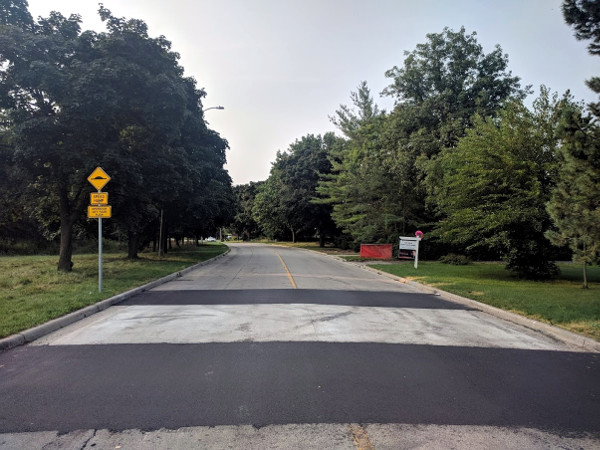 Concrete speed hump