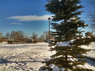 Footprints crisscross the snow.