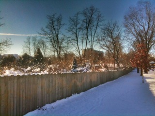 Fence line.