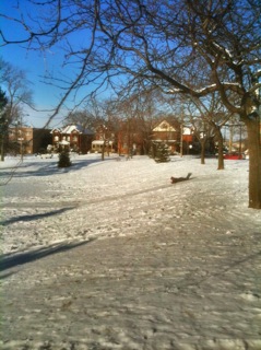 Tobogganing - finally!