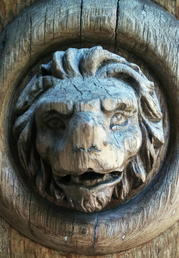 Wooden doorway in central Hamilton.